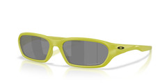 Oakley Sunglasses Terraforma OO9530-0458 Cactus Frame / PRIZM Black Lens