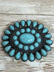 CLUSTER ~ HAIR ~ BARRETTE (Assorted Colors)
