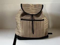 NWOT Sally Spicer San Francisco Backpack Bag Women&rsquo;s Multicolor Stripe 15x12x8