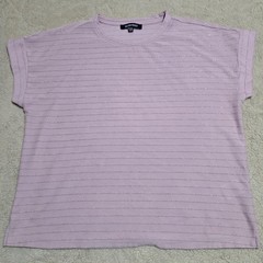 Ellen Tracy Women&rsquo;s Pink Striped Metallic Short Sleeve T-Shirt Size XL