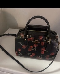 Coach Rowan Satchel Bag With Cherry