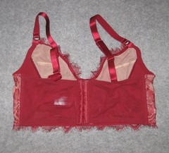 Sofia Intimates By Sofia Vergara Longline Bustier Bra 36D Red Lace